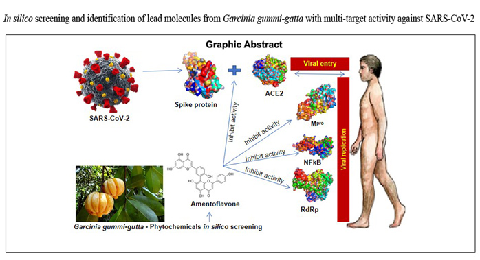 Graphical Abstract